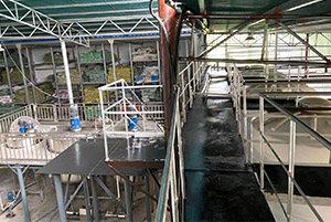 立杉生產(chǎn)車間一角.jpg 立杉生產(chǎn)車間一角.jpg